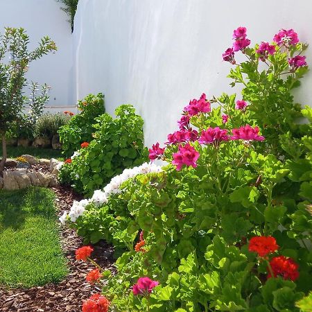 Páteo dos Oliveira - Casa dos Senhores Évora Exterior foto